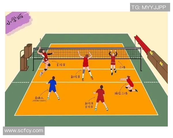 赛后分析：上海排球队与南京排球队灵活性对比及战术探讨